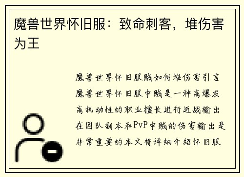 魔兽世界怀旧服：致命刺客，堆伤害为王